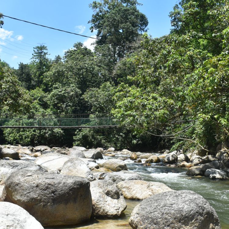 Kuala Woh